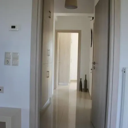 Olive Grove * Chania (Crete)