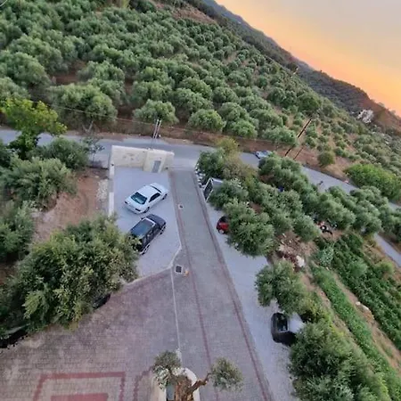 Olive Grove Holiday home