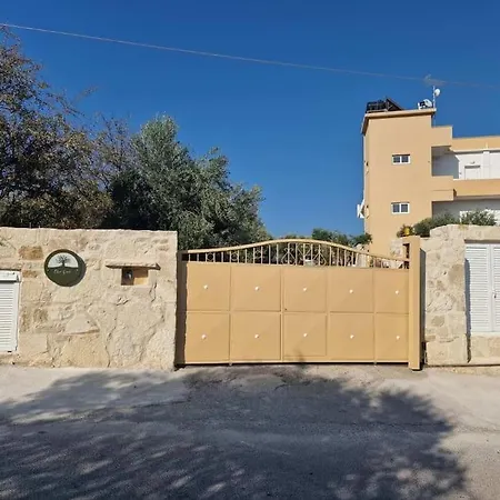 Olive Grove Chania (Crete)