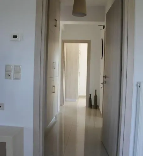 Olive Grove * Chania (Crete)