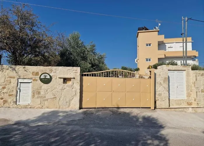 Olive Grove Chania (Crete)